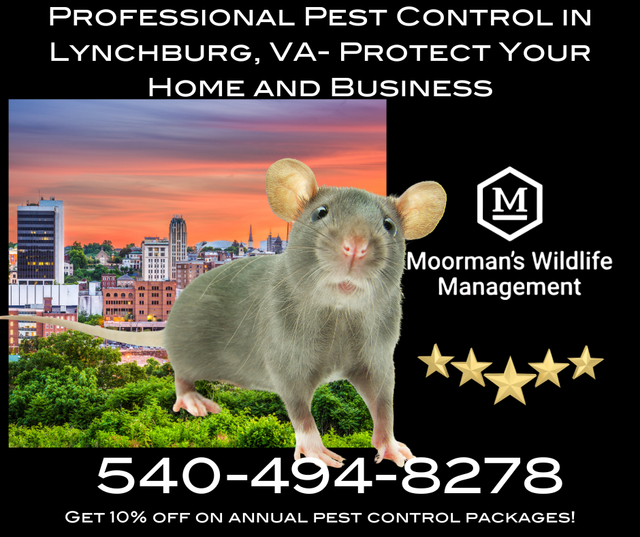 Trusted Pest Control Company With Proven Results